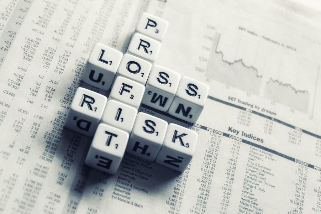 Beleggings fondsen profit risk