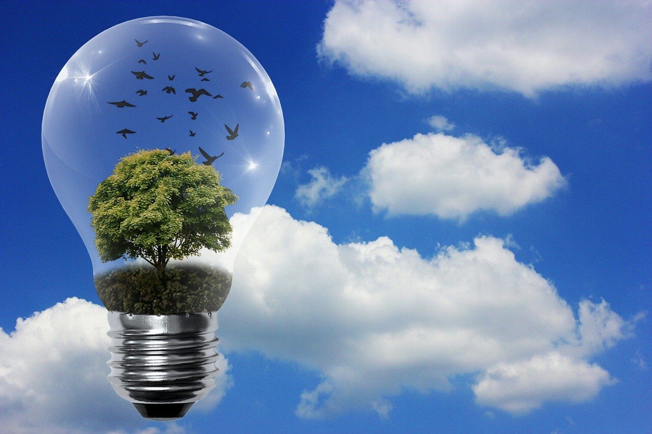 nel asa stock renewable energy
